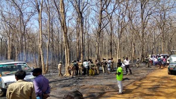Forest Department Is Taking All Precautions To Protect Bandipur From Forest Fire