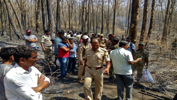 Forest Department Is Taking All Precautions To Protect Bandipur From Forest Fire