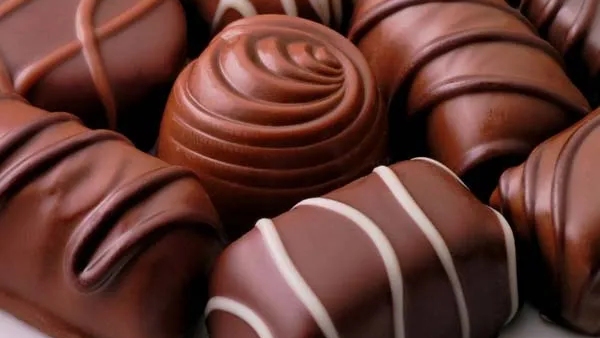 Propose Day 2024: Propose this way if your lover is a foodie