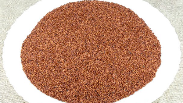 Ragi halbai recipe: How to make Ragi halbai or halubai recipe
