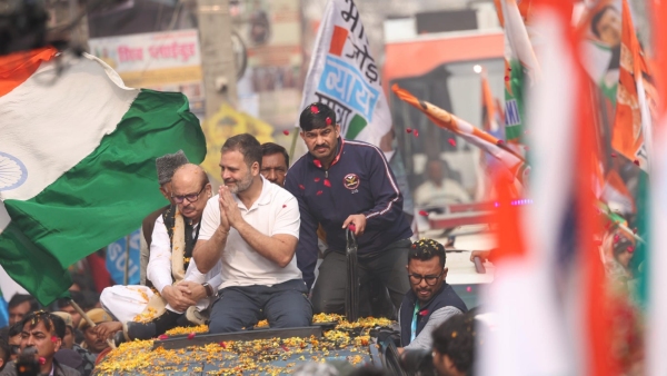 Is Congress Leader Rahul Gandhi Strategies Will Work In Lok Sabha Election 2024