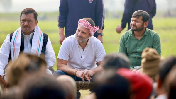 Is Congress Leader Rahul Gandhi Strategies Will Work In Lok Sabha Election 2024