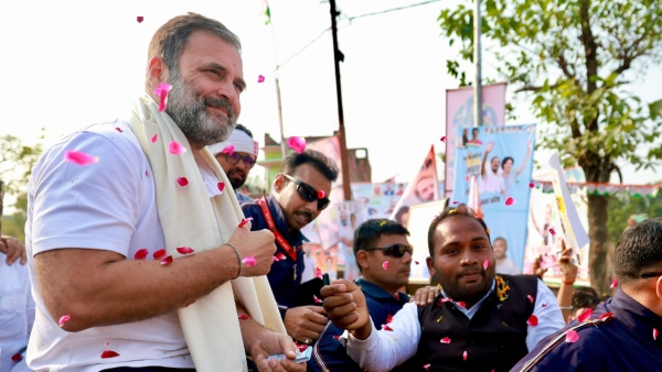 Is Congress Leader Rahul Gandhi Strategies Will Work In Lok Sabha Election 2024