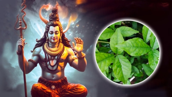  Why Shiva likes Bilvapatra: What is the secret behind worshiping Bilvapatra on Monday?