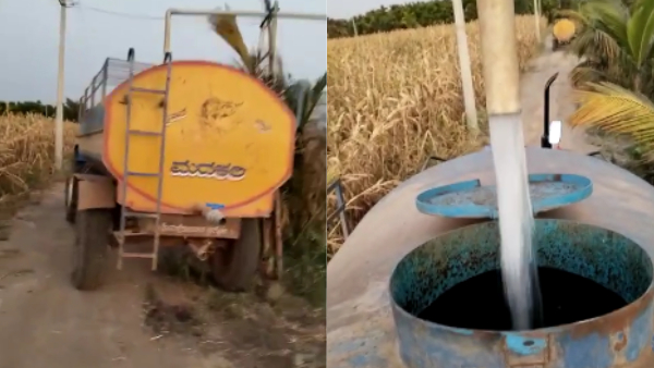 Chikkamagaluru Farmers Forced To Buy Tanker Water Save Crop 