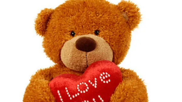 Teddy Day: ಯಾವ ಬಣ್ಣದ ಗೊಂಬೆ ಯಾವ ಅರ್ಥವನ್ನು ಸೂಚಿಸುತ್ತದೆ? 