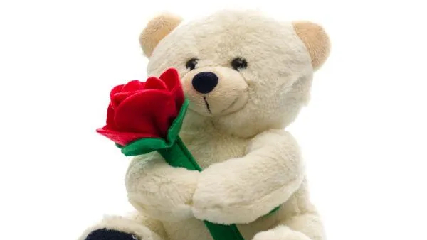 Teddy Day: ಯಾವ ಬಣ್ಣದ ಗೊಂಬೆ ಯಾವ ಅರ್ಥವನ್ನು ಸೂಚಿಸುತ್ತದೆ? 