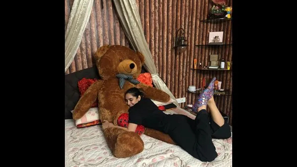 Teddy Day: ಯಾವ ಬಣ್ಣದ ಗೊಂಬೆ ಯಾವ ಅರ್ಥವನ್ನು ಸೂಚಿಸುತ್ತದೆ? 