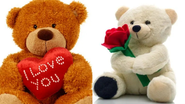 Teddy Day 2024: What does each colour of teddy bear represent on Teddy Day