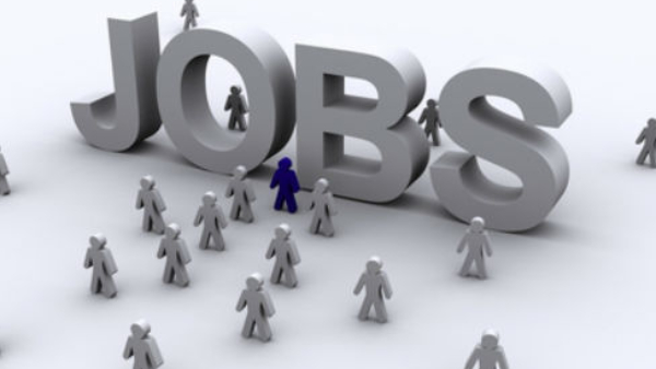 Looking for Government Jobs: Recruitment for many posts of UPSC, details
