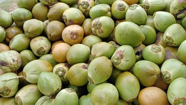 Which Beverages Is Good To Drink In Summer Days Which Beverages Is Good To Drink In Summer Days