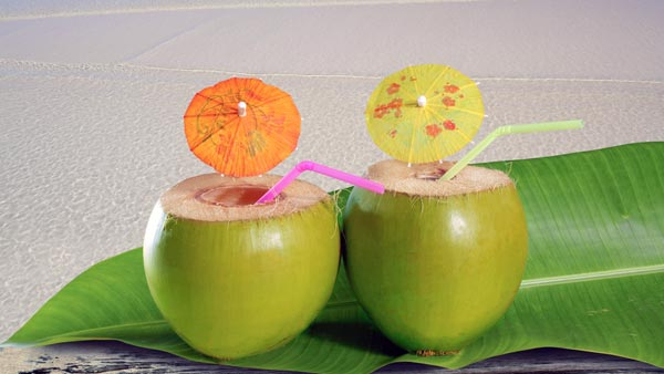 Expensive coconut coconut water price increase in bengaluru