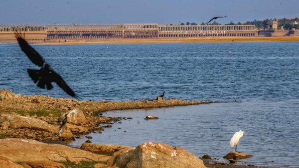 Drought Is Drinking Water Problem Going To Hit Mysuru City To