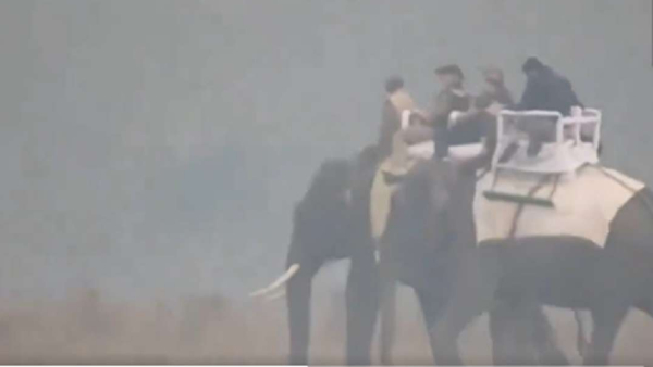 PM Modi visits Assam Modi rode on an elephant