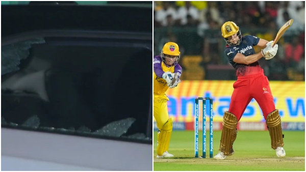 Ellyse Perry s Massive Six Smashes Car s Windshield