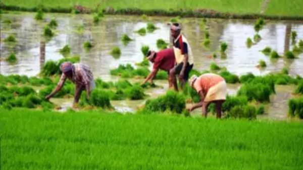 Farmers tractor rally tomorrow in Bellavi against the government
