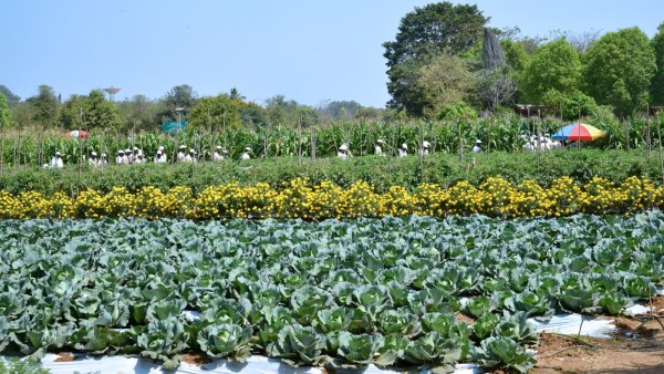 175 Per Cent Rise Female Student Taking Agriculture Course in India