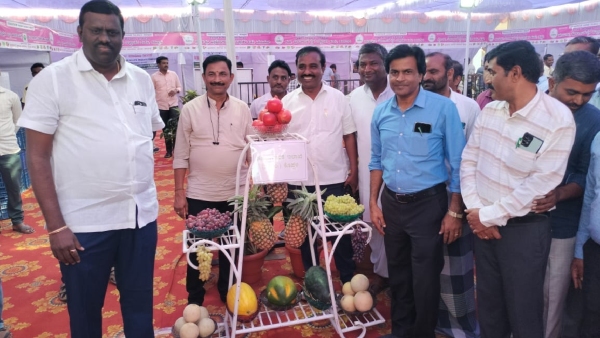 Record Business In Fruit And Honey Mela 2024 At Koppal