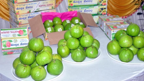 Fruit And Honey Mela In Koppal From March 6 To 9