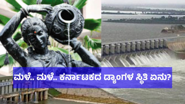 Heavy Rain Needed For Karnataka Immediately