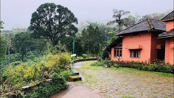 The Story Behind The Coorg Honey Valley Creation