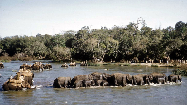 Travel News: What Is The Specialty Of HD Kote Taluk Kakanakote Khedda Travel News: What Is The Specialty Of HD Kote Taluk Kakanakote Khedda