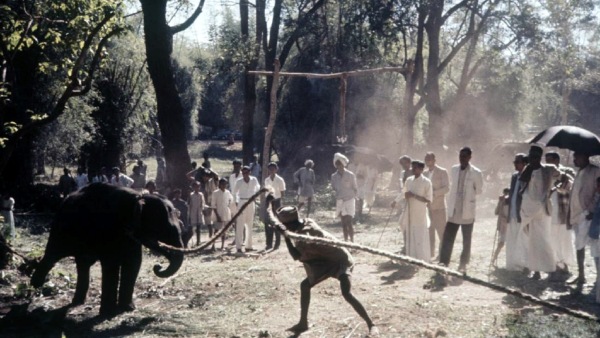 Travel News: What Is The Specialty Of HD Kote Taluk Kakanakote Khedda Travel News: What Is The Specialty Of HD Kote Taluk Kakanakote Khedda