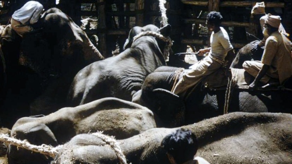 Travel News: What Is The Specialty Of HD Kote Taluk Kakanakote Khedda Travel News: What Is The Specialty Of HD Kote Taluk Kakanakote Khedda