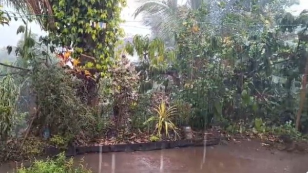 Karnataka Weather Kodagu Many places Has Recorded Rainfall Today Forecast details