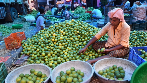 Lemon prices jump to Rs 8-12 per piece