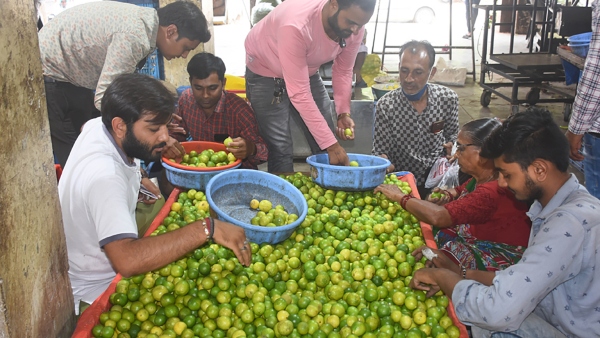 Lemon prices jump to Rs 8-12 per piece