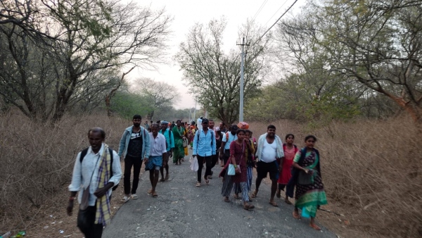 Maha Shivratri Jatra Devotees flocked to Male Mahadeshwara Hill