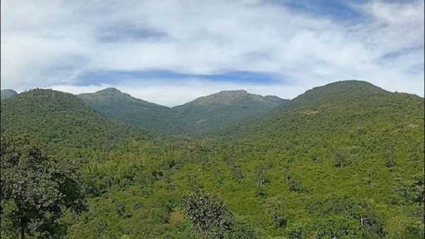 When Will The Electric Light Be Lit In Palar Areas Of Mahadeshwara Hills