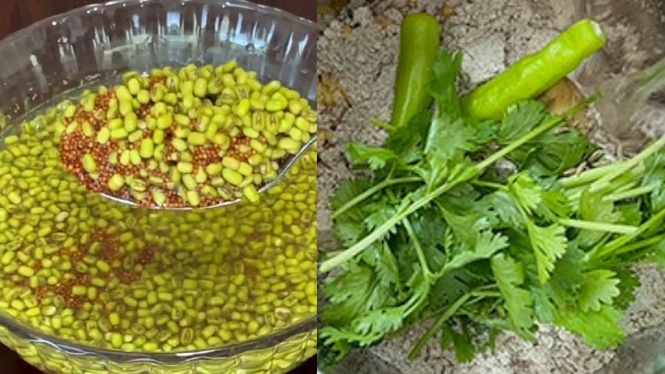 Ragi Moong Dal Dosa Recipe: Tasty, Crispy and Healthy Ragi Moong Dal Dosa Recipe Ragi Moong Dal Dosa Recipe: Tasty, Crispy and Healthy Ragi Moong Dal Dosa Recipe