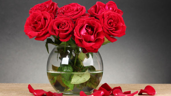 office desk plant vastu tips never keep these 5 plants on your desk in kannada