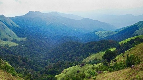 Summer Days 2024 Kodagu Temperature Day By Day Increased
