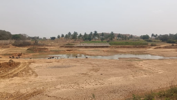 Sunlight water shortage water problem in more than 30 villages of Chikkaballapur