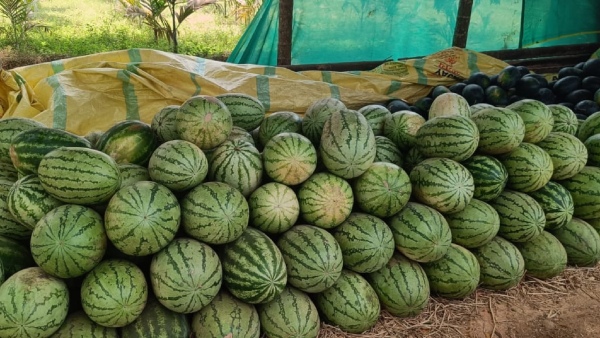 Temperature reaches 35 degrees in Chikkaballapur Advice to maintain health