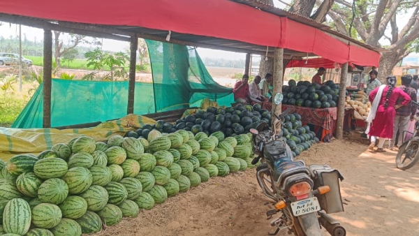 Temperature reaches 35 degrees in Chikkaballapur Advice to maintain health