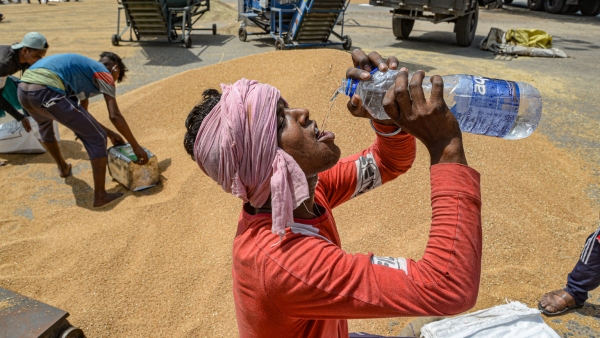 India llikely to experience warmer summer this year: IMD