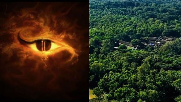 World s scariest jungles Do not go here for the faint of heart