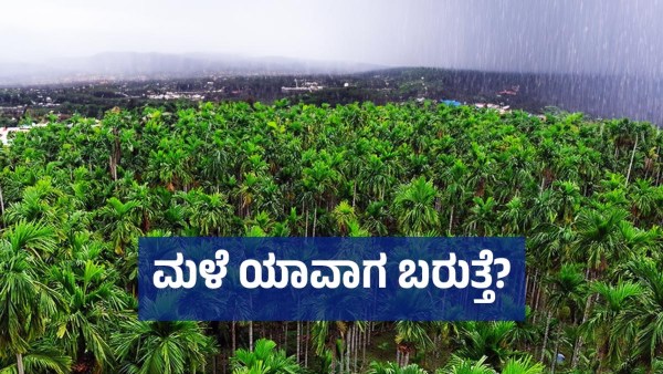 Farmers Concerned About Protecting Their Areca Nut Farms Relying on Tanker Water for Irrigation
