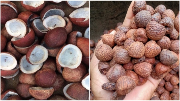 Arecanut price in Karnataka Markets on April 03