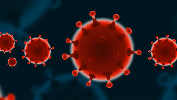 Cholera Crisis Hits Bengaluru BBMP Implements Surveillance Offers Suggestions Takes Control Measures