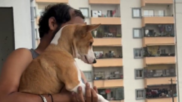 Bengaluru Rain Man s Heartwarming Video of Pet s First Rain Captivates Internet