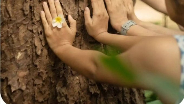 Bengaluru-Based Company Sparks Outrage by Charging Rs 1 500 for Tree Hugging Sessions