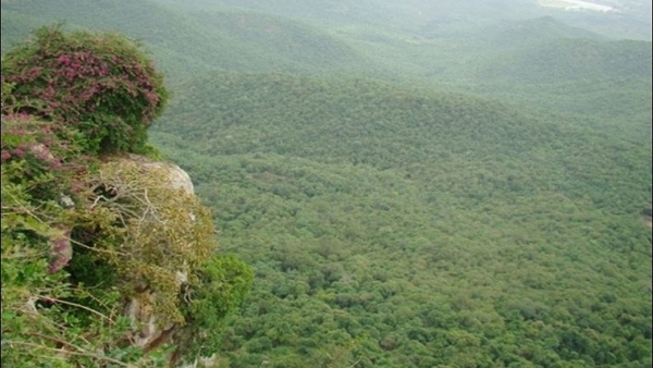 Biligiri Rangana swamy Temple Jatre Will Be Start On April 23