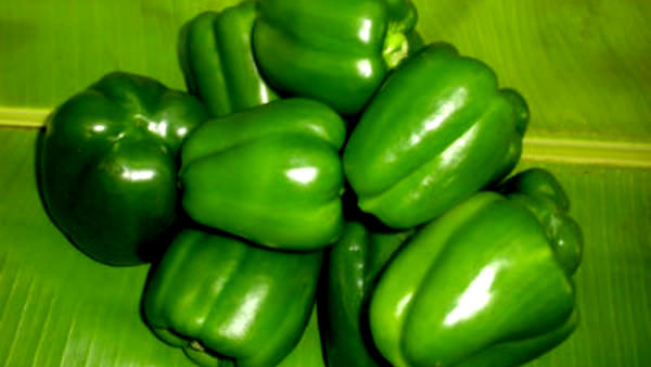 How to make very easy green Capsicum chutney explained in step by step