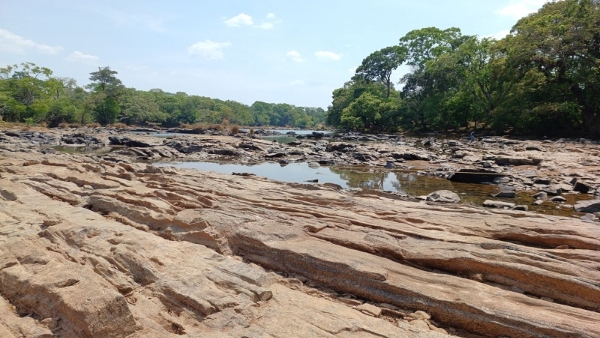 Travel News Cauvery River Has Dried Up In Dubare Elephant Camp