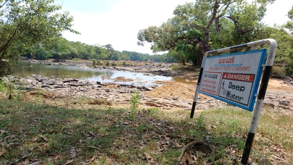 Travel News Cauvery River Has Dried Up In Dubare Elephant Camp